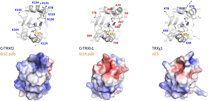 Figure 4