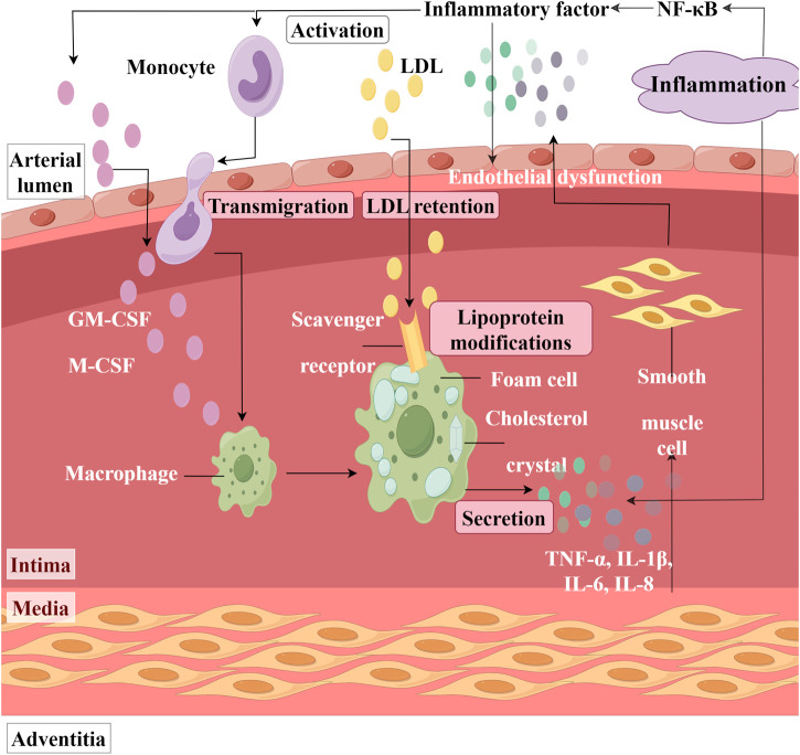 FIGURE 6