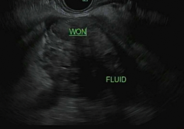 Figure 8