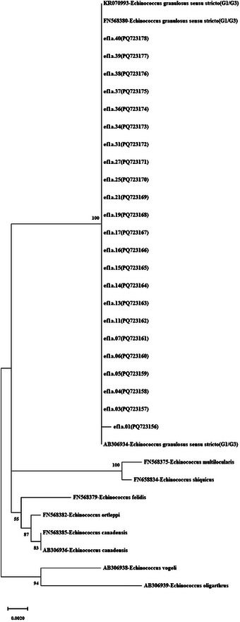 FIGURE 4