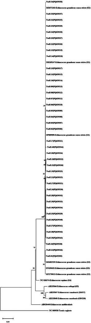 FIGURE 3
