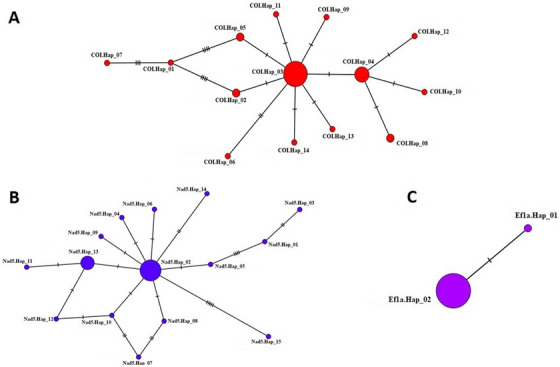 FIGURE 2
