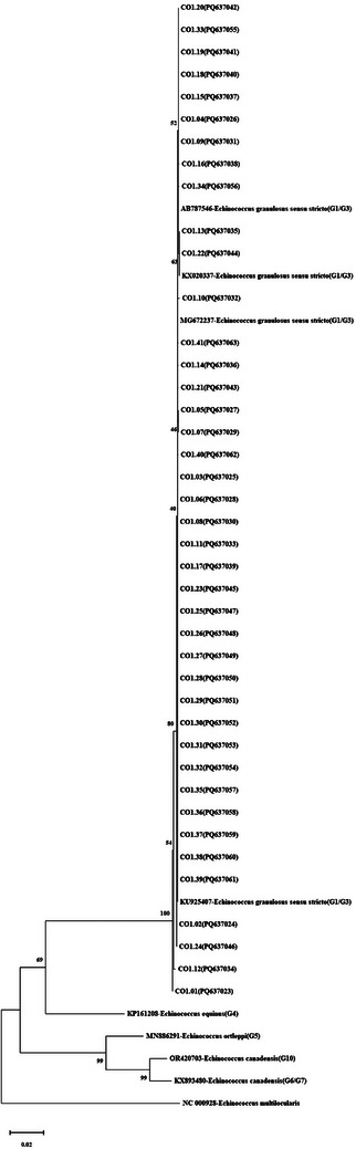 FIGURE 1