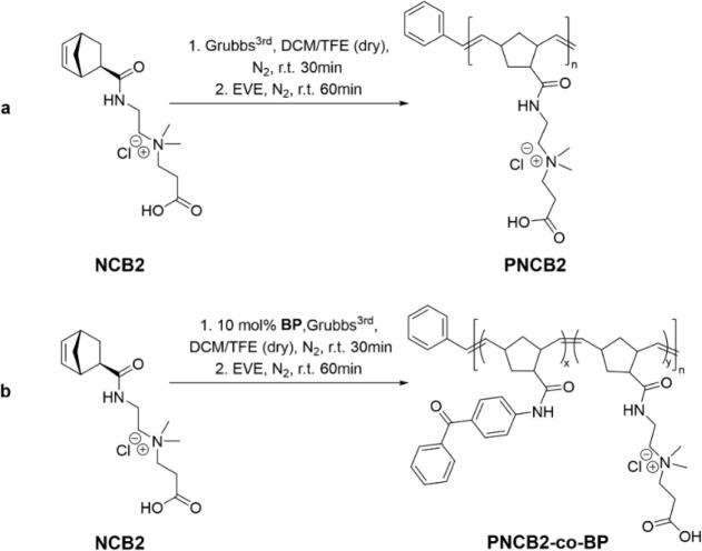 Scheme 2