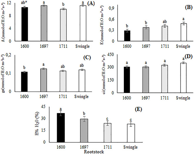 Figure 3
