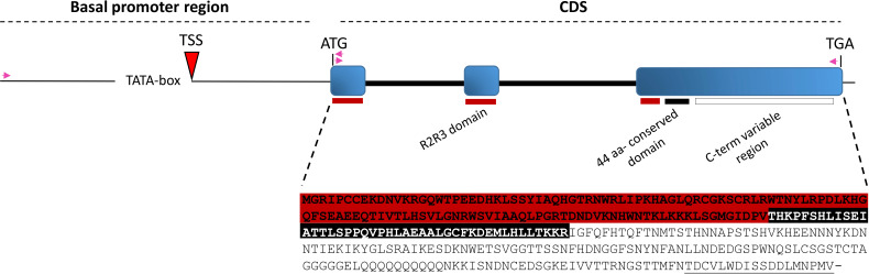 Figure 2