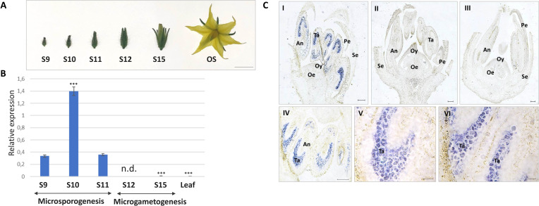 Figure 3