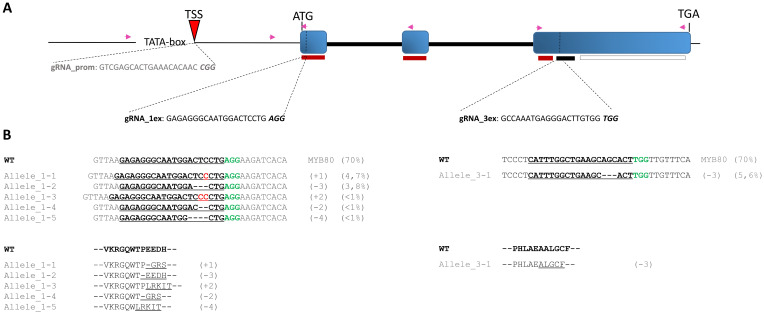 Figure 5