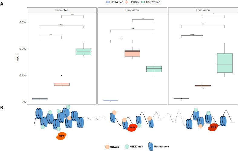 Figure 6