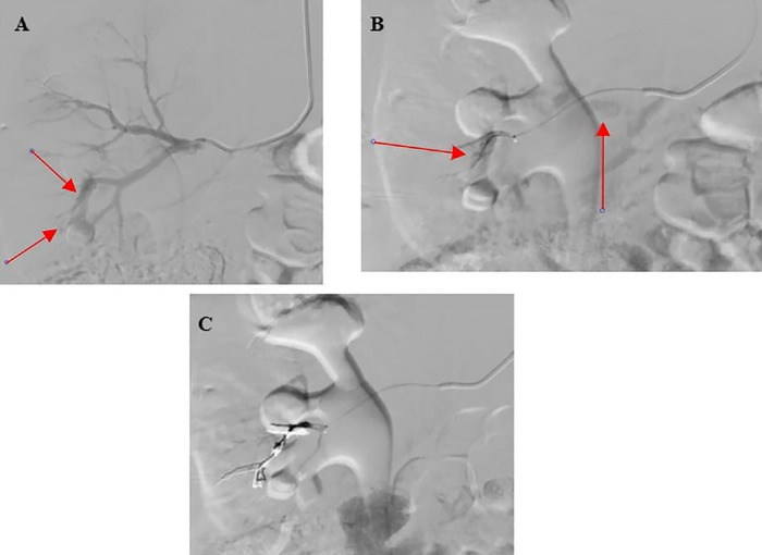 Figure 3
