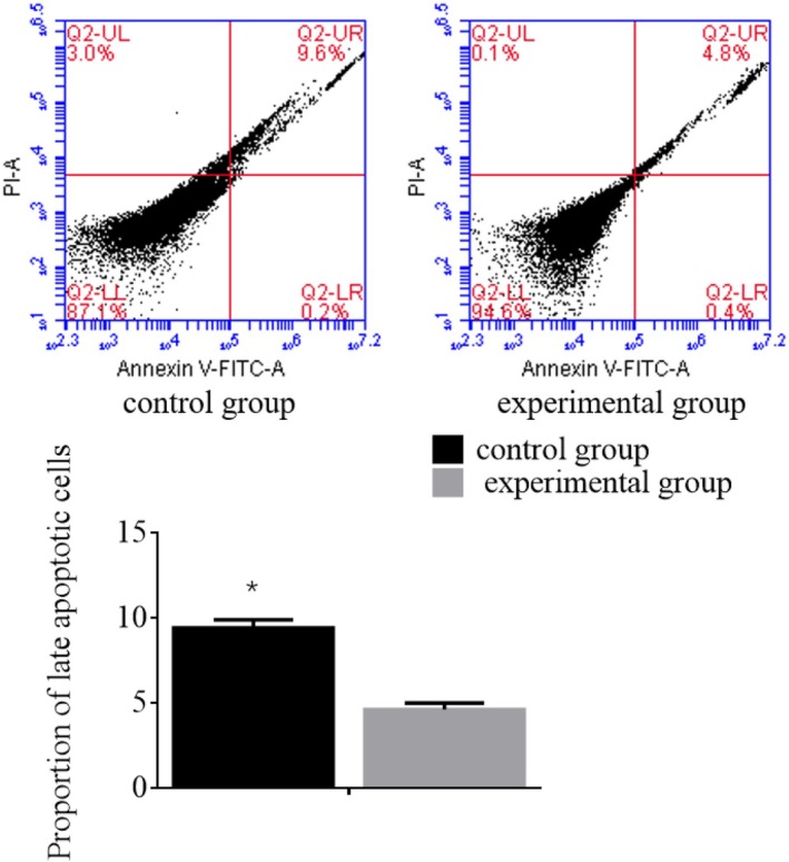FIGURE 5