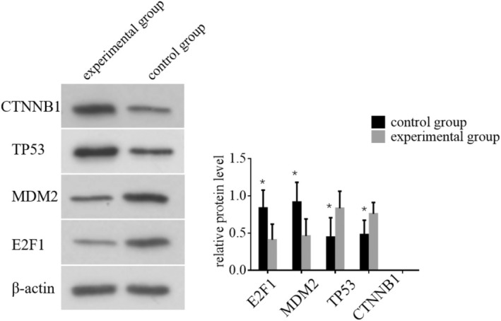 FIGURE 6