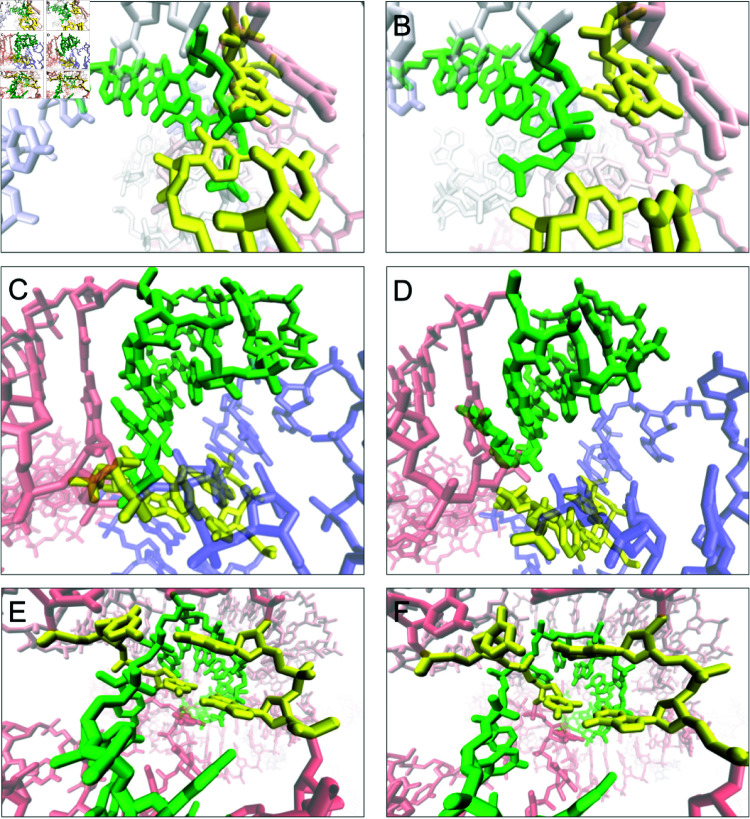 Fig 6