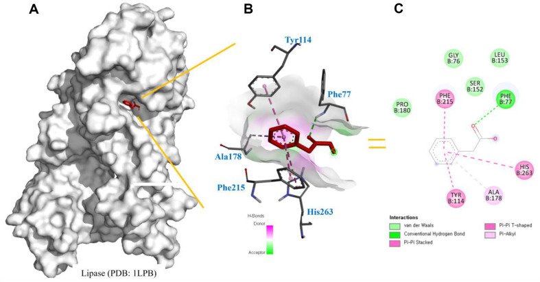 Figure 6