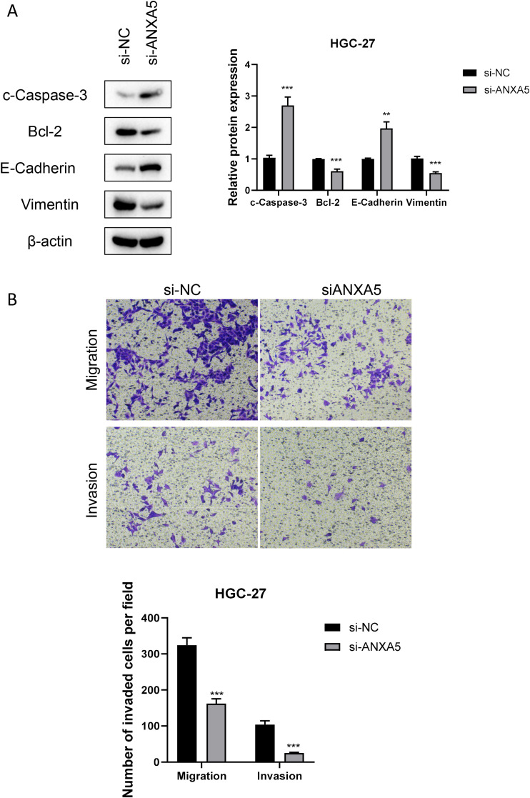 Figure 11