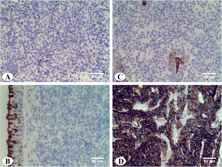 Figure 4