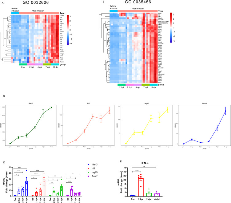 Figure 4