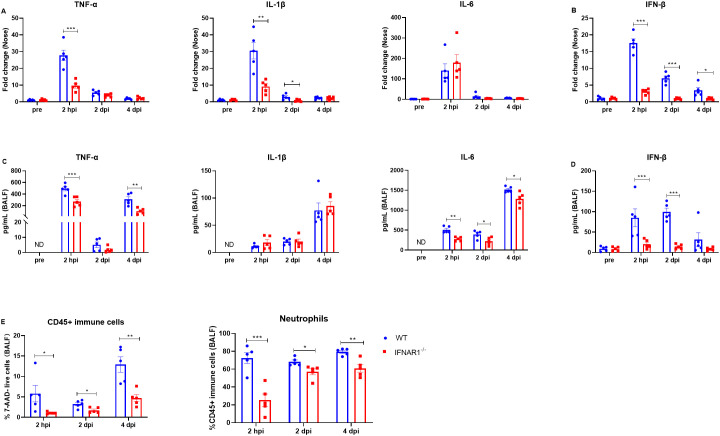 Figure 6