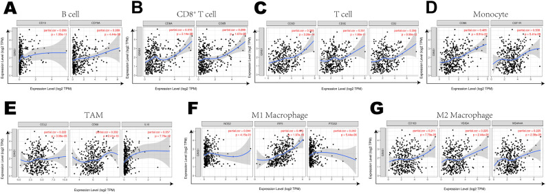 Figure 6