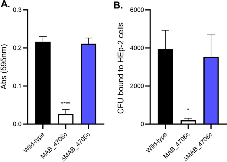 Figure 5