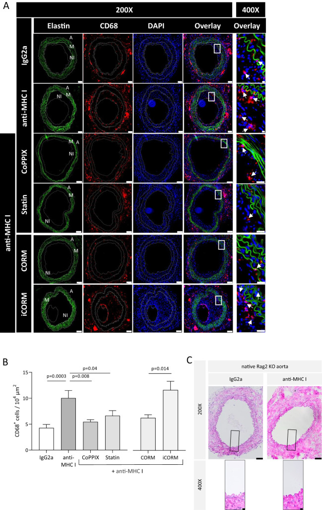 Figure 4