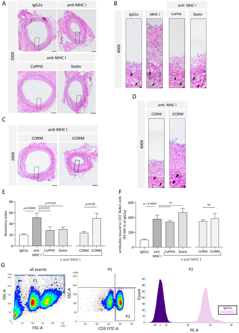 Figure 5
