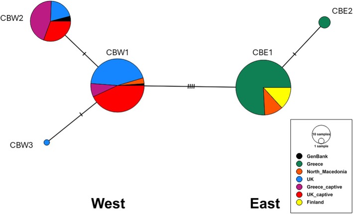 FIGURE 2