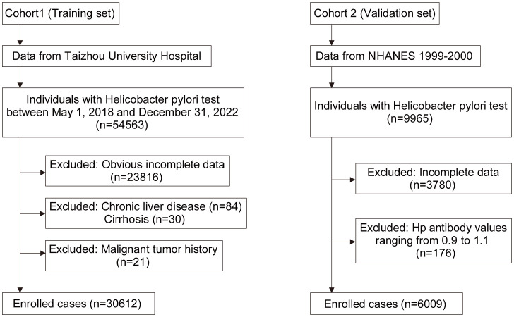 Figure 1