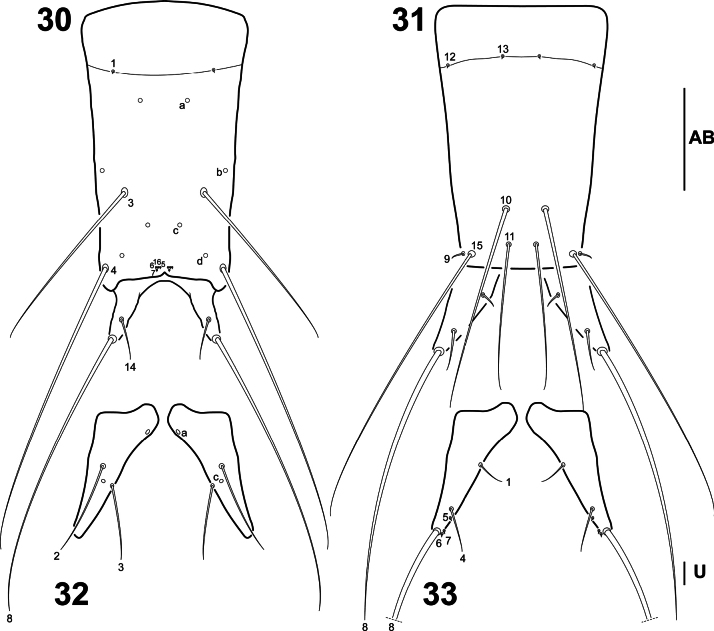 Figure 8