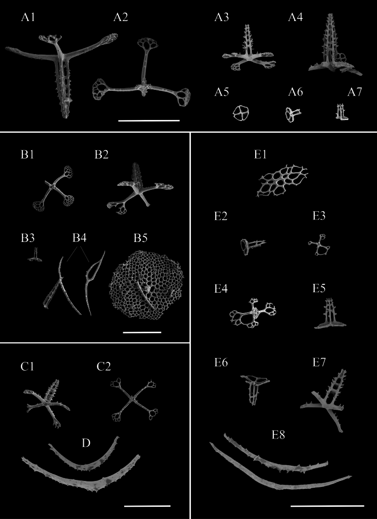 Figure 7