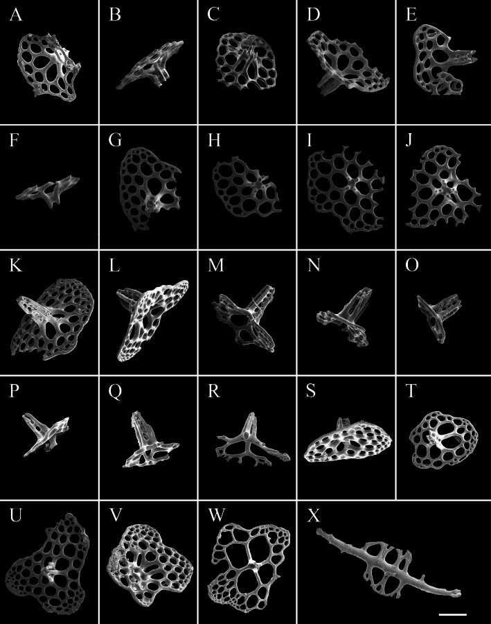 Figure 10