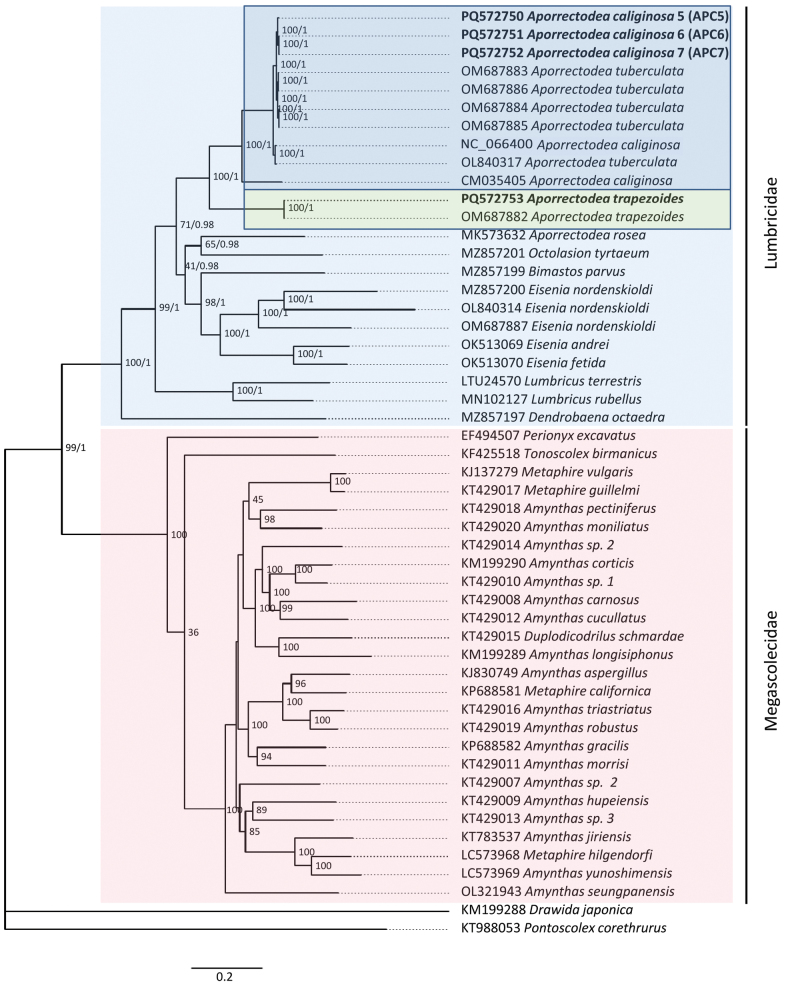 Figure 4