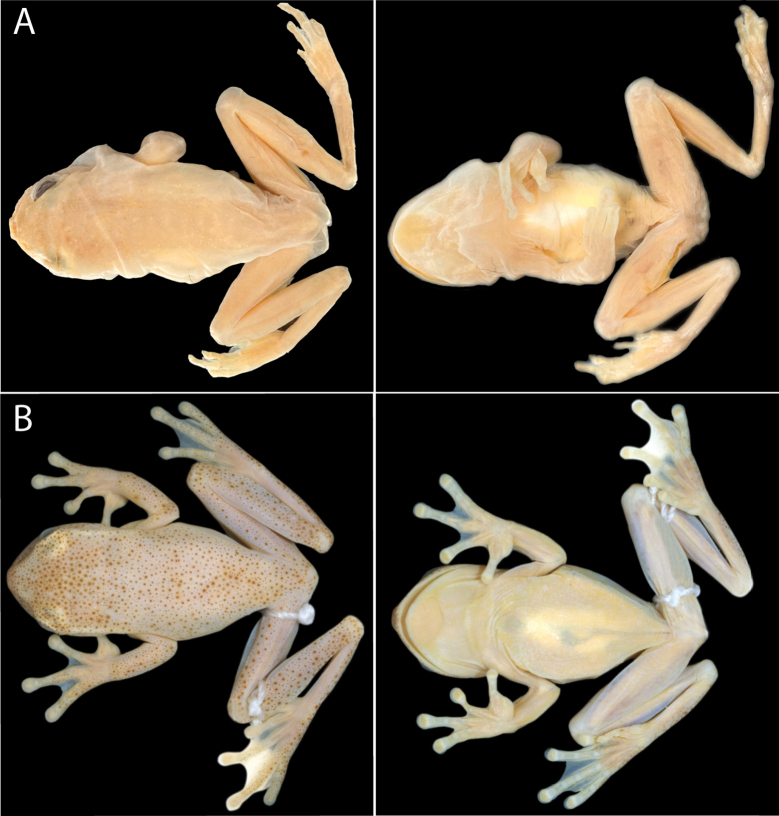 Figure 4