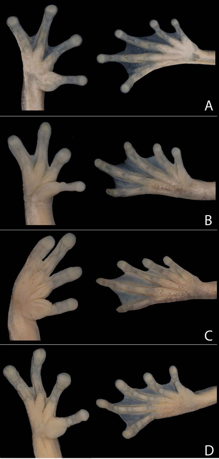 Figure 11