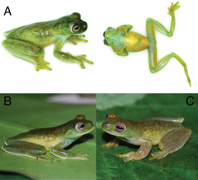 Figure 12