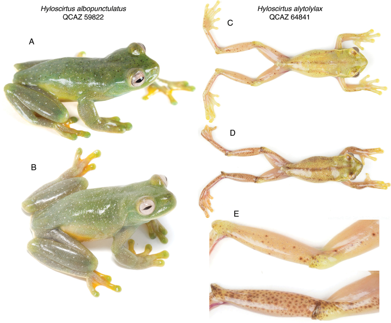 Figure 14