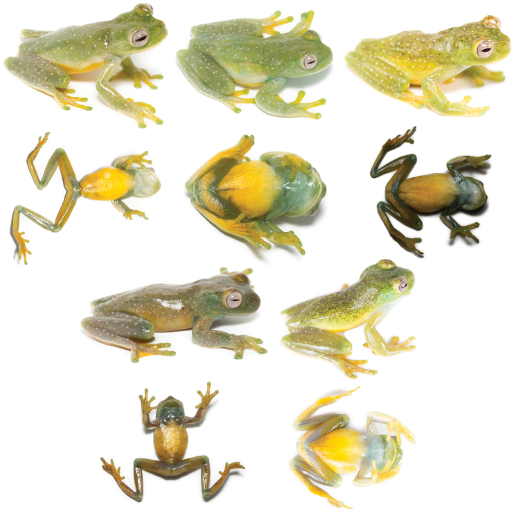 Figure 15