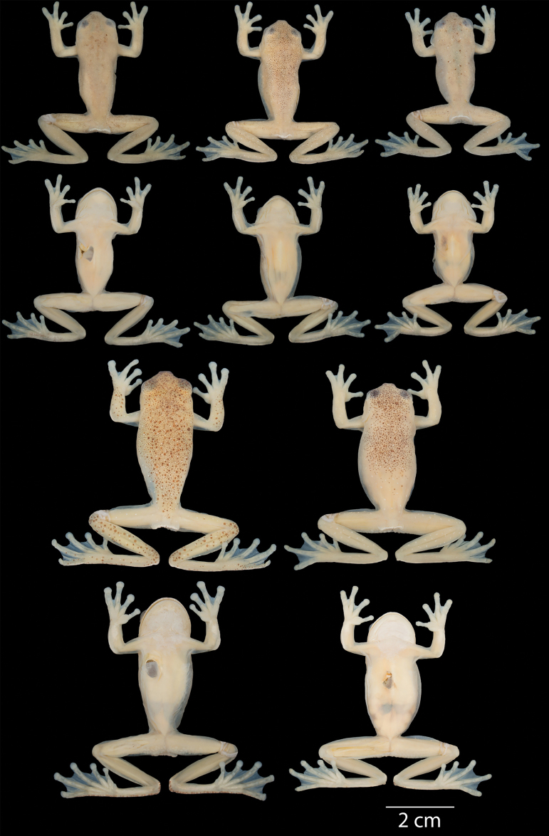 Figure 16