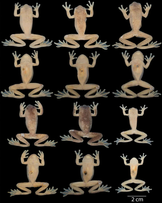Figure 18