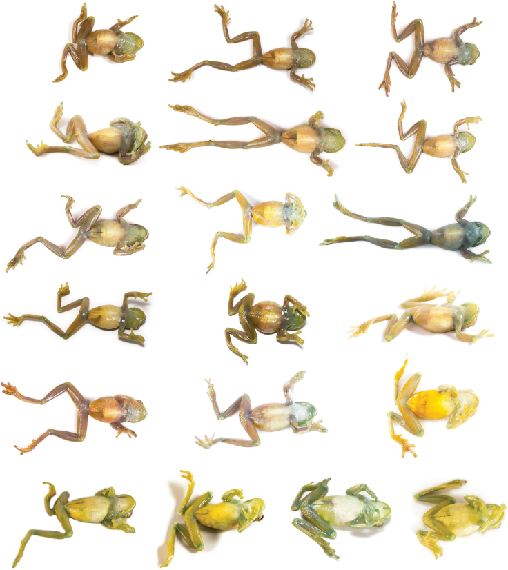 Figure 22