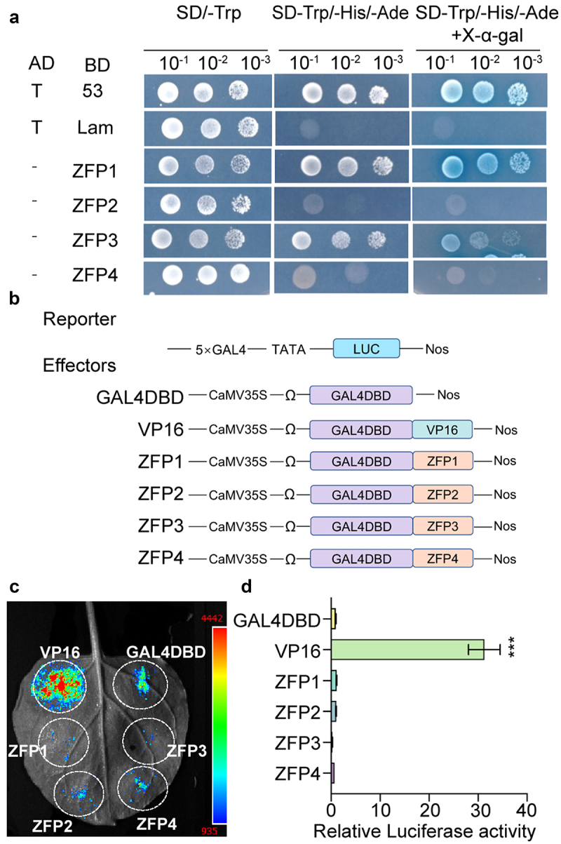 Figure 5