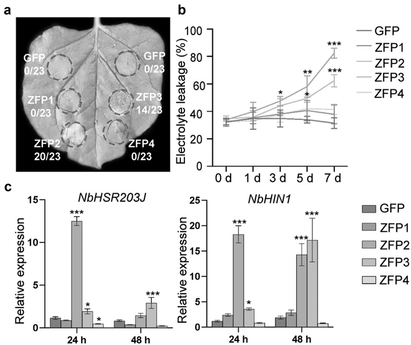 Figure 10
