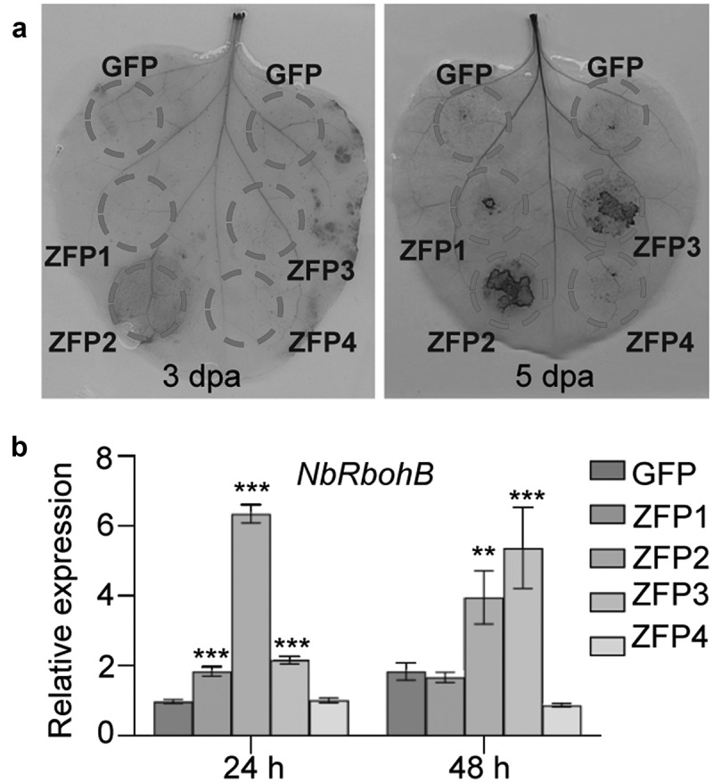 Figure 12