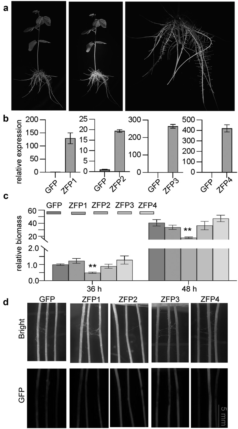 Figure 16