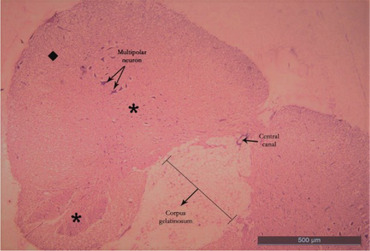 Figure 9