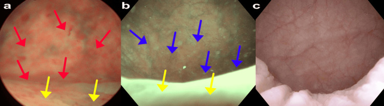 Figure 8