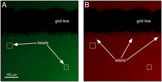 Figure 9