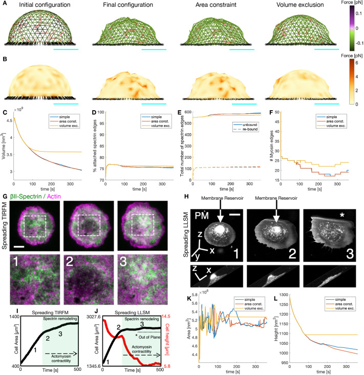 Figure 21