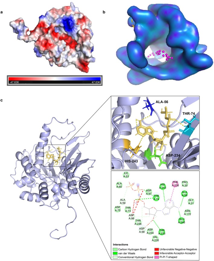FIGURE 1