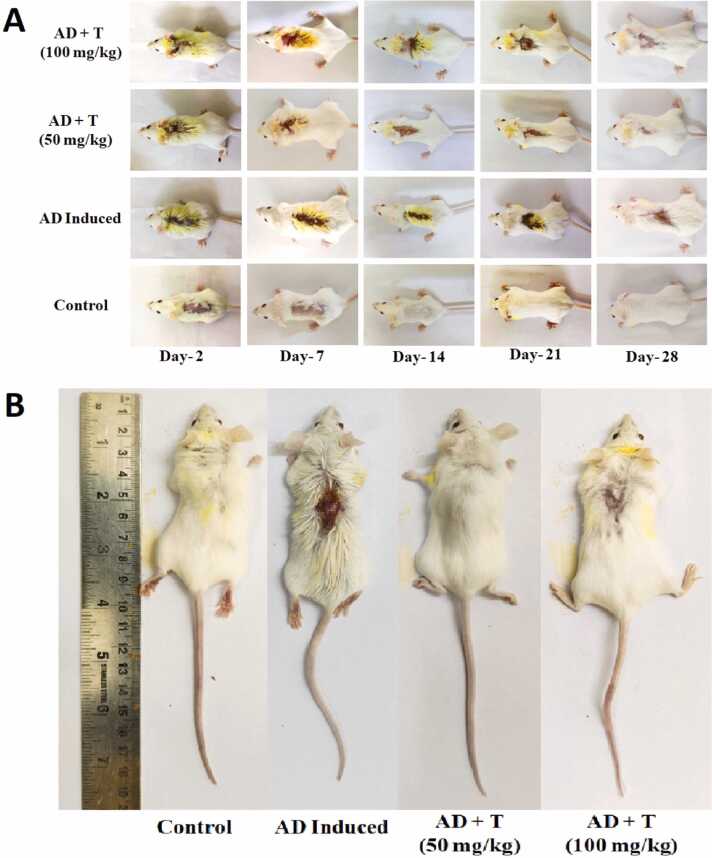 Figure 12